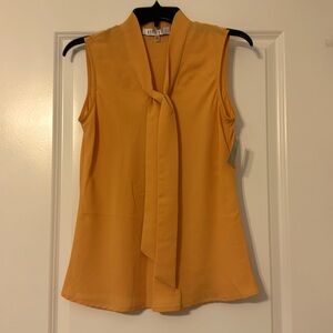 Kasper sleeveless blouse